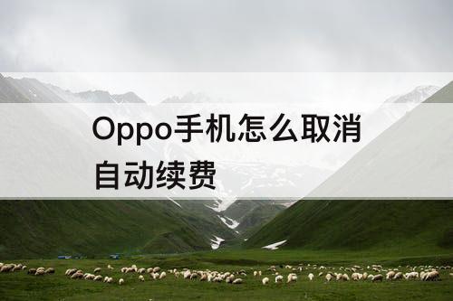 Oppo手机怎么取消自动续费