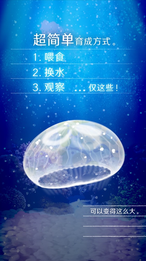 养育水母的治愈游戏  v1.0.0图3
