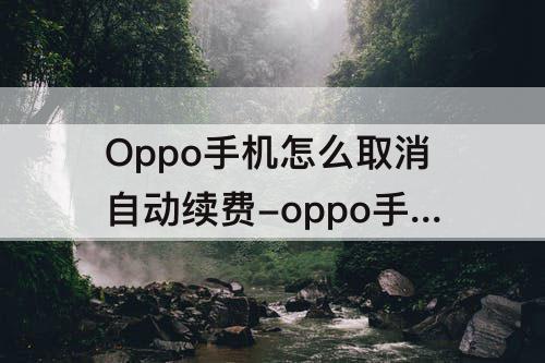 Oppo手机怎么取消自动续费-oppo手机怎么取消自动续费订阅