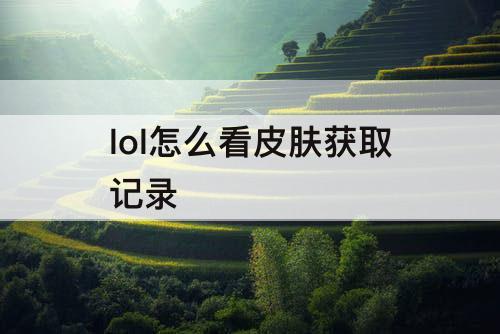 lol怎么看皮肤获取记录
