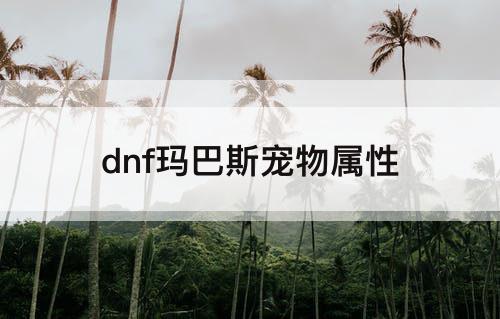 dnf玛巴斯宠物属性