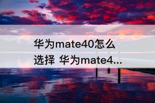 华为mate40怎么选择 华为mate40怎么选择复制转帖