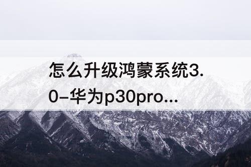 怎么升级鸿蒙系统3.0-华为p30pro怎么升级鸿蒙系统3.0