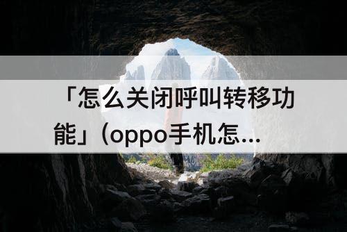 「怎么关闭呼叫转移功能」(oppo手机怎么关闭呼叫转移功能)