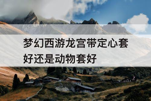 梦幻西游龙宫带定心套好还是动物套好