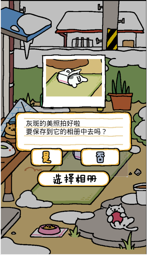 猫咪后院手机版  v1.0.0图3