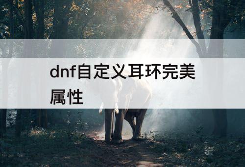 dnf自定义耳环完美属性