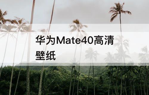 华为Mate40高清壁纸