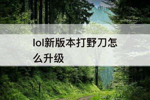 lol新版本打野刀怎么升级