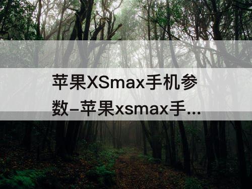 苹果XSmax手机参数-苹果xsmax手机参数配置介绍