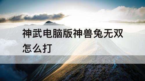 神武电脑版神兽兔无双怎么打