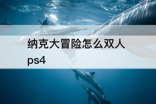纳克大冒险怎么双人 ps4