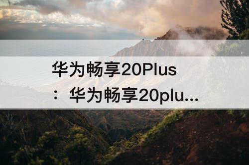 华为畅享20Plus：华为畅享20plus格机解锁