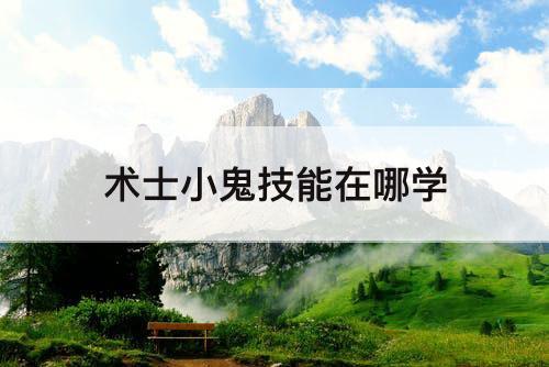 术士小鬼技能在哪学