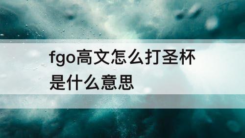 fgo高文怎么打圣杯是什么意思