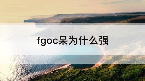 fgoc呆为什么强