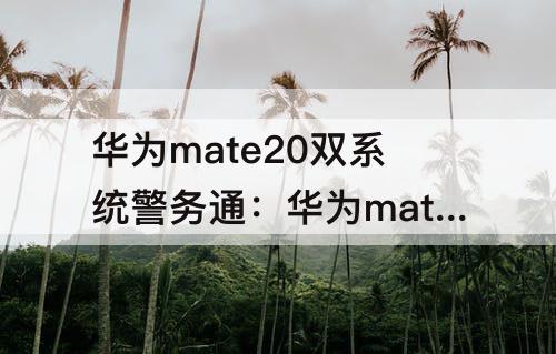 华为mate20双系统警务通：华为mate20双系统警务通解锁