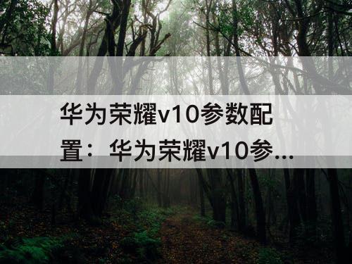 华为荣耀v10参数配置：华为荣耀v10参数配置详情
