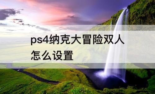 ps4纳克大冒险双人怎么设置