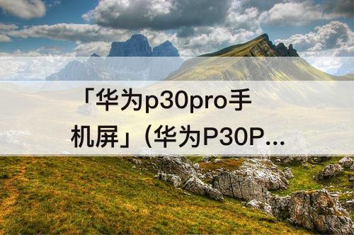 「华为p30pro手机屏」(华为P30PRO手机屏幕顶端的图标详解)