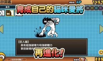 猫咪大战争9999999罐头版可扭蛋英文