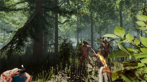 动物森林手机版  v1.02图3