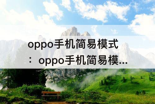 oppo手机简易模式：oppo手机简易模式怎么退出