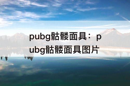 pubg骷髅面具：pubg骷髅面具图片