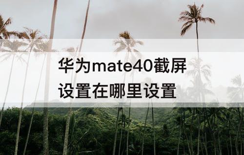 华为mate40截屏设置在哪里设置