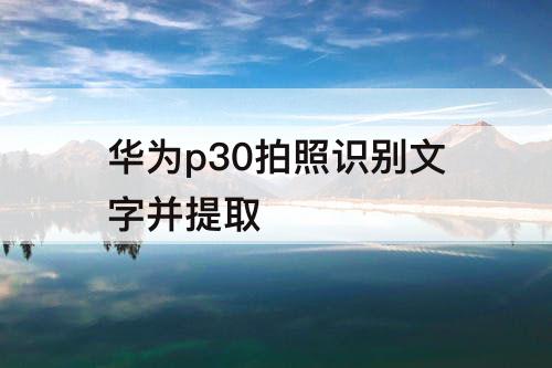 华为p30拍照识别文字并提取