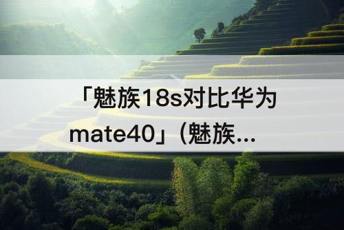 「魅族18s对比华为mate40」(魅族18s对比华为mate40pro)