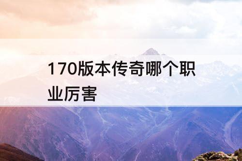170版本传奇哪个职业厉害